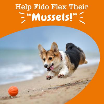 Mussel Hip and Joint Mobility Bites, Soporte para Articulaciones y Cadera sabor Pollo, Perros. 180 chews