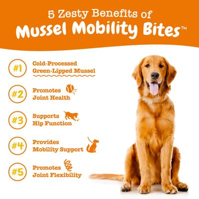 Mussel Hip and Joint Mobility Bites, Soporte para Articulaciones y Cadera sabor Pollo, Perros. 180 chews