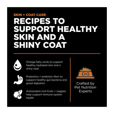 Skin + Coat Care Grain-Free Salmon Recipe Dry Cat Food, 3-lb bag