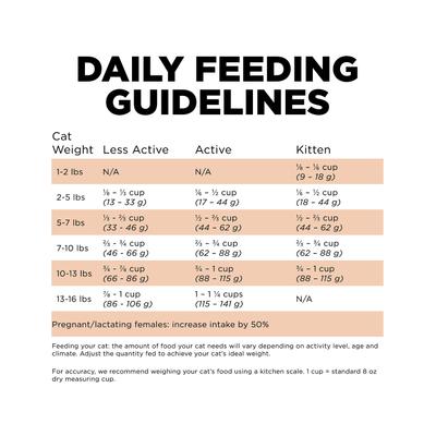 Skin + Coat Care Grain-Free Salmon Recipe Dry Cat Food, 3-lb bag