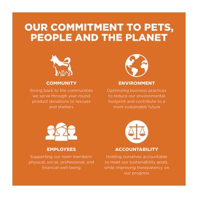 Skin + Coat Care Grain-Free Salmon Recipe Dry Cat Food, 3-lb bag