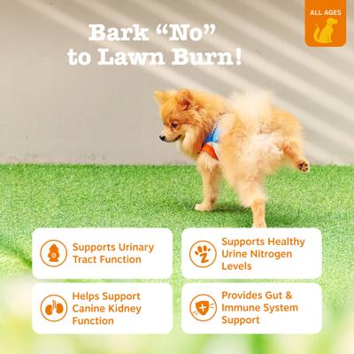 Stay Green Bites Beef Flavored Soft Chews Grass Protection Urine Neutralizer & Digestive Supplement for Dogs, 90 count