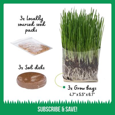 Organic Pet Grass Grow Kit, 3 count
