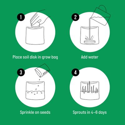 Organic Pet Grass Grow Kit, 3 count
