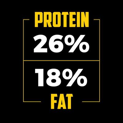 Premium 26/18 Formula Adult Dog Food, 40-lb bag