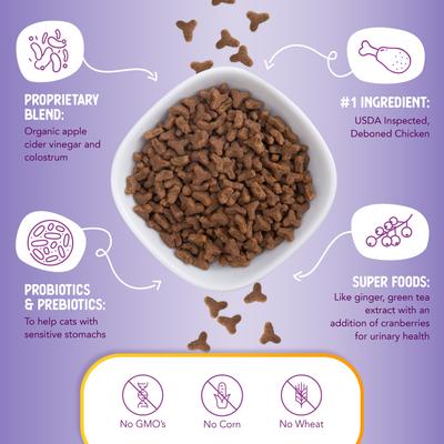 Chicken & Brown Rice Recipe Dry Cat Food, 4-lb bag