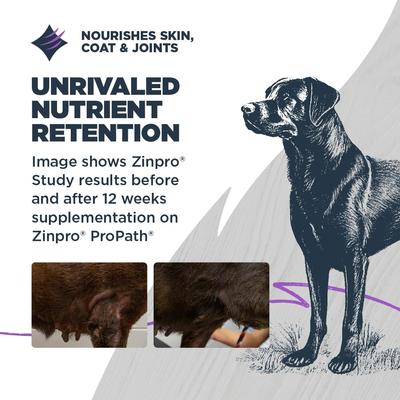 Large Breed Adult White Fish with Ancient Grains Recipe Dry Dog Food, 24-lb bag