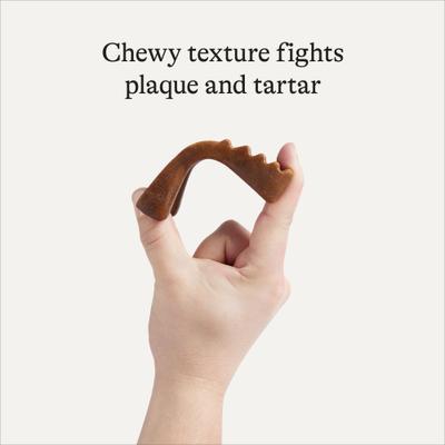 Grain-Free Large Dental Dog Treats Mint Flavor, 24 count