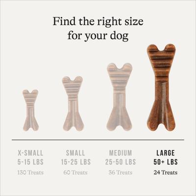 Grain-Free Large Dental Dog Treats Mint Flavor, 24 count