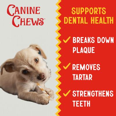 5-inch Rawhide Twist Chicken Flavor Dental Dog Chews, 45 count
