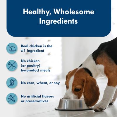 Divine Delights Grilled Chicken Flavor Pate Dog Food Trays, 3.5-oz, case of 12