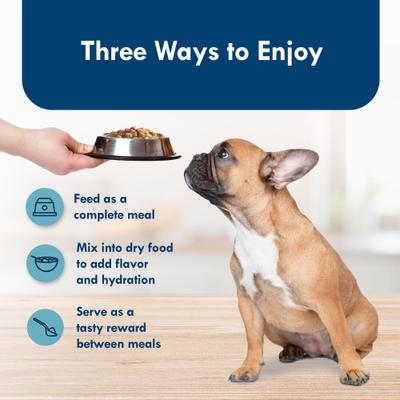 Divine Delights Grilled Chicken Flavor Pate Dog Food Trays, 3.5-oz, case of 12