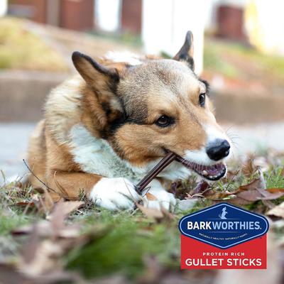 Beef Gullet Sticks 6" Dog Treats, 6 count