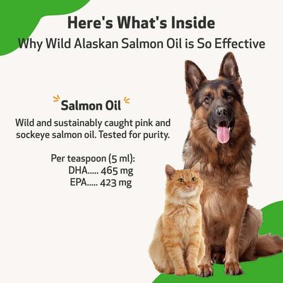Wild Alaskan Salmon Oil Liquid Supplement for Dogs, 16-oz bottle