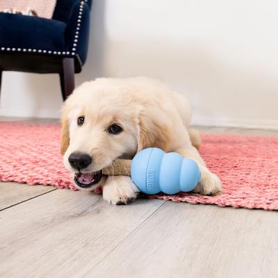 Stuff'N Puppy Ziggies Dog Treats, Small, 12 count