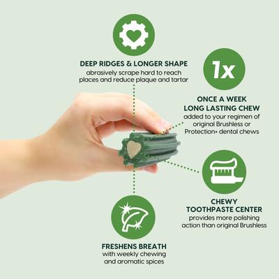 Extreme Clean Brushless Dog Toothpaste, Small, 12-oz bag