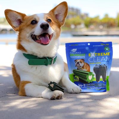 Extreme Clean Brushless Dog Toothpaste, Small, 12-oz bag