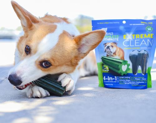 Extreme Clean Brushless Dog Toothpaste, Small, 12-oz bag