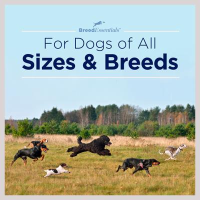 Bulldog Chicken Slims Grain-Free Dog Treats, 6-oz can