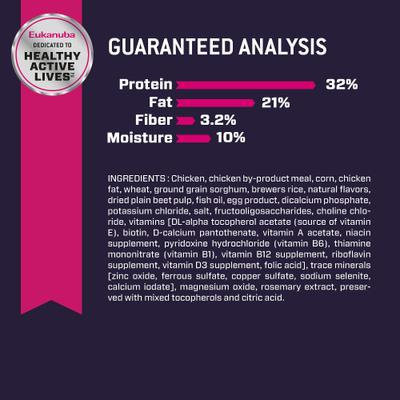 Puppy Small Breed Dry Dog Food, 15-lb bag