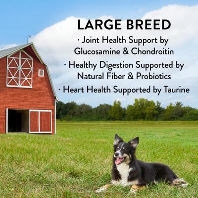 Large Breed Chicken & Vegetables Recipes Grain-Free Dry Dog Food, 30-lb bag