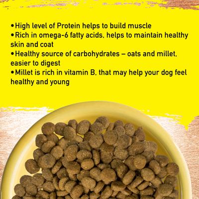 Bundle: Inception Chicken Recipe Dry Food, 27-lb bag + Soft & Chewy Dog Treats, 4-oz bag