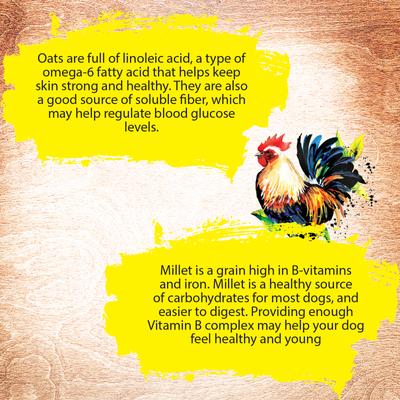 Bundle: Inception Chicken Recipe Dry Food, 27-lb bag + Soft & Chewy Dog Treats, 4-oz bag