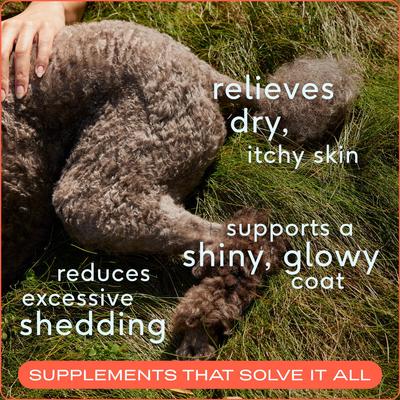 Omega-3 Fish Oil & Alaskan Salmon Oil Skin & Coat Health Supplement for Dogs, 16-fl oz bottle