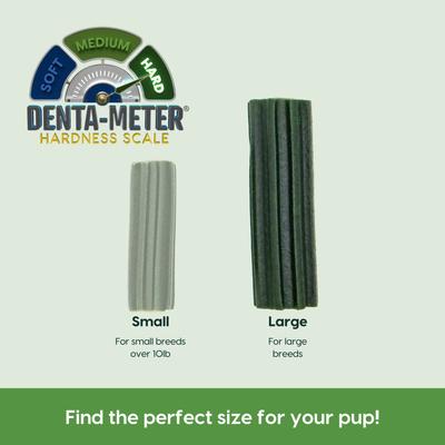 Extreme Clean Brushless Dog Toothpaste, Large, 18-oz bag