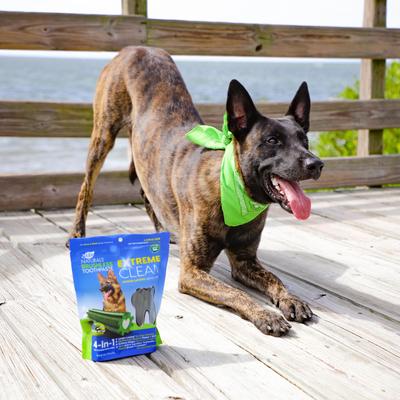 Extreme Clean Brushless Dog Toothpaste, Large, 18-oz bag