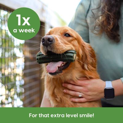 Extreme Clean Brushless Dog Toothpaste, Large, 18-oz bag