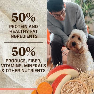 Alimento seco para perros Healthy Grains con salmón real y arroz integral, bolsa de 4 lb