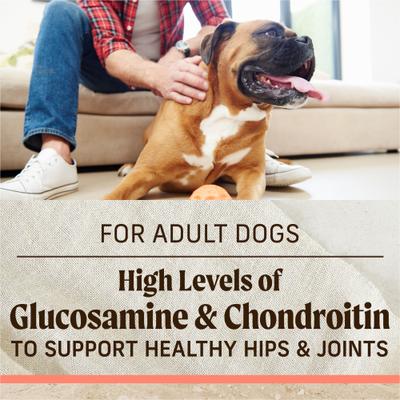 Healthy Grains Real Salmon & Brown Rice Recipe with Ancient Grains Dry Dog Food, 4-lb bag