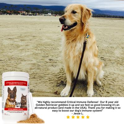 Critical Immune Defense Mushroom & Turmeric Compound Dog & Cat Supplement, 6.3-oz bottle, 1 count