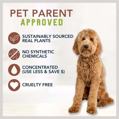 Cedar Peppermint & Organic Coconut Oil Dog Conditioning Shampoo, 16-fl oz bottle