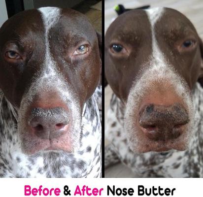 3 Cute Puppies Nose Butter, 4-fl oz tin