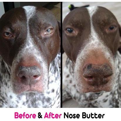 Mantequilla para la nariz 3 Cute Puppies, lata de 4 onzas líquidas