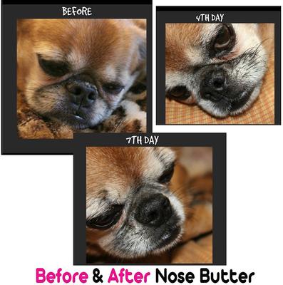 3 Cute Puppies Nose Butter, 4-fl oz tin
