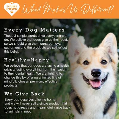 Omega 3-6-9 Select Grain-Free Skin & Coat Support Dog Supplement Chews, 120 count