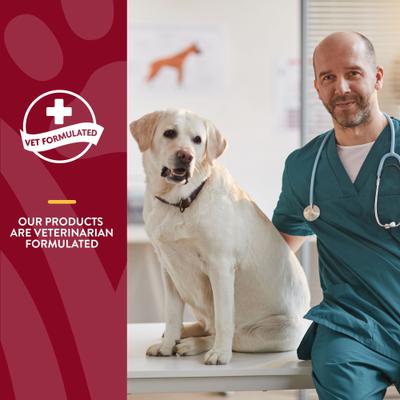 Bladder Support Plus Cranberry Chewable Tablets Urinary Supplement for Dogs, 60 count