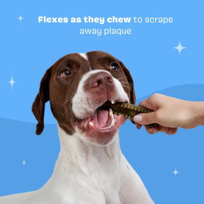 Bright Durable Medium Mint Flavored Dental Dog Treats, 15 count