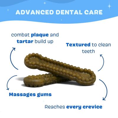 Bright Durable Medium Mint Flavored Dental Dog Treats, 15 count