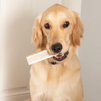 Elk Antlers Medium Split Dog Chew Treat