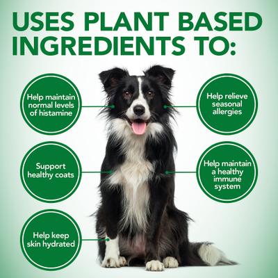 Shed+Itch Healthy Coat Chewable Tablets Skin & Coat Supplement for Dogs, 150 count