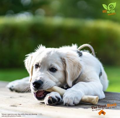 7 to 8-in Retriever Rolls Rawhide Dog Treats, 30 count