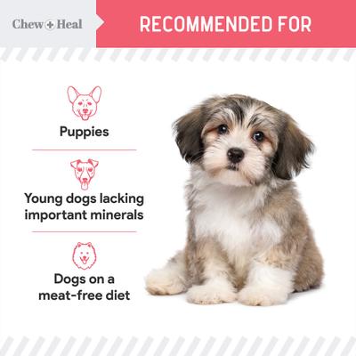 Premios para perros Puppy Soft 'N Yummy de salmón salvaje de Alaska con ingredientes limitados, bolsa de 5 oz