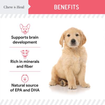 Premios para perros Puppy Soft 'N Yummy de salmón salvaje de Alaska con ingredientes limitados, bolsa de 5 oz