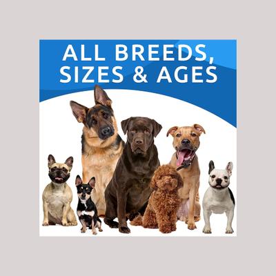 Allergy Relief & Itch Relief with Omega 3 Skin & Coat with Fish Oil Chew Supplement for Dogs, 120 count