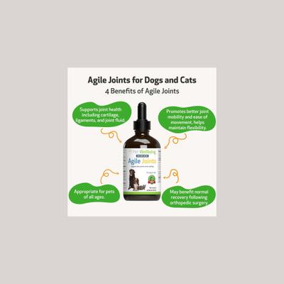 Agile Joints Bacon Flavored Liquid Joint Supplement for Dogs & Cats, 2-oz bottle
