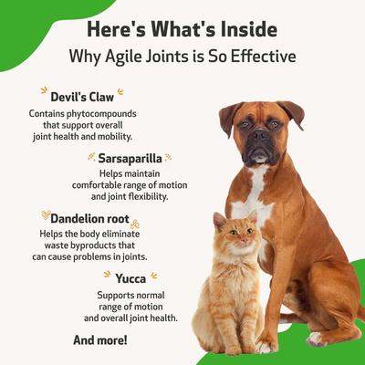 Agile Joints Bacon Flavored Liquid Joint Supplement for Dogs & Cats, 2-oz bottle